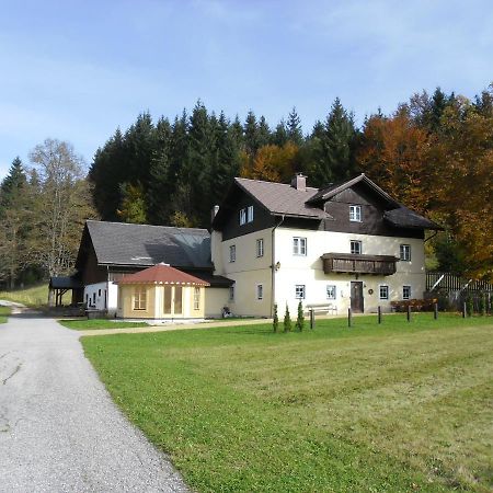 Ferienwohnung Oetscherwiese Lackenhof Bagian luar foto