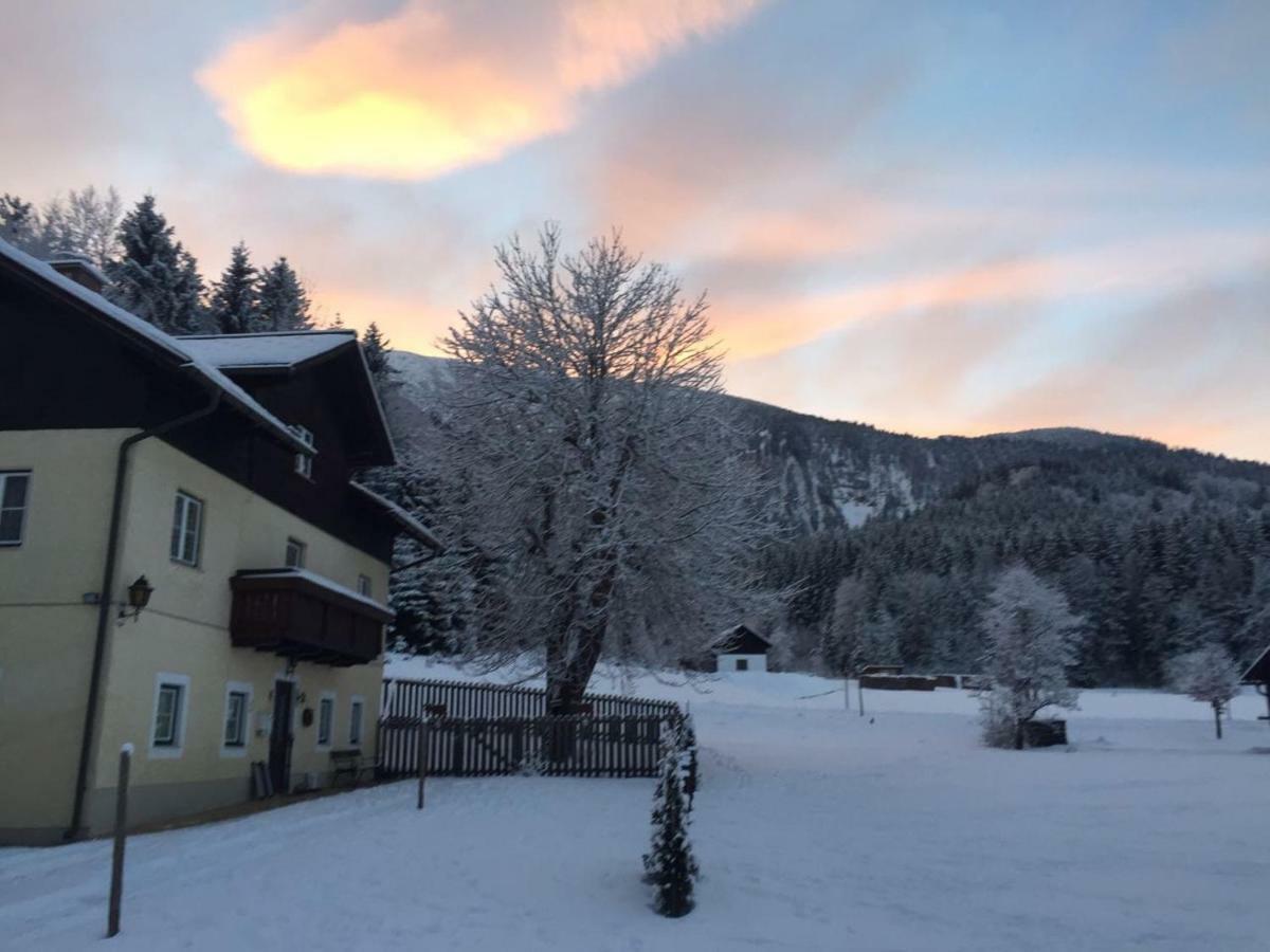 Ferienwohnung Oetscherwiese Lackenhof Bagian luar foto