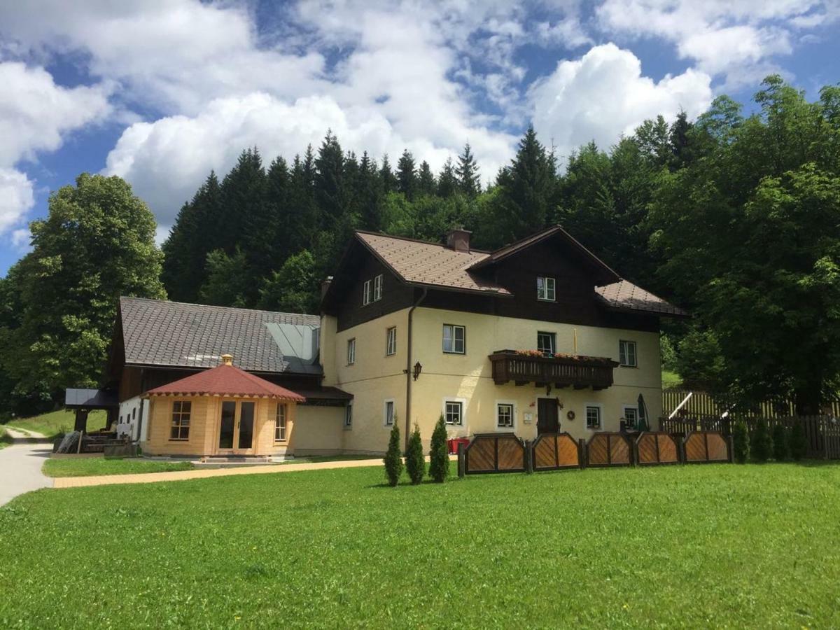 Ferienwohnung Oetscherwiese Lackenhof Bagian luar foto