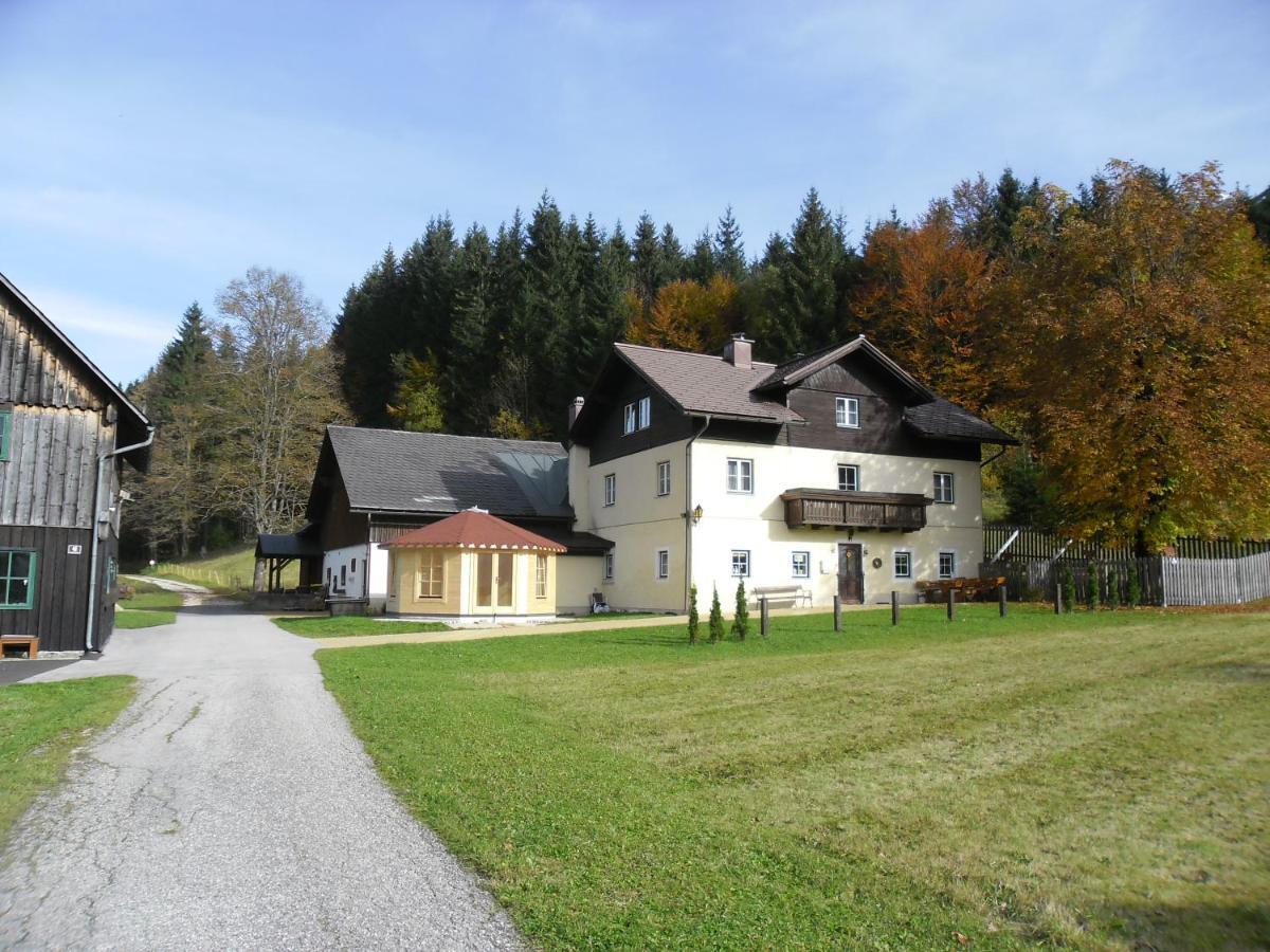 Ferienwohnung Oetscherwiese Lackenhof Bagian luar foto