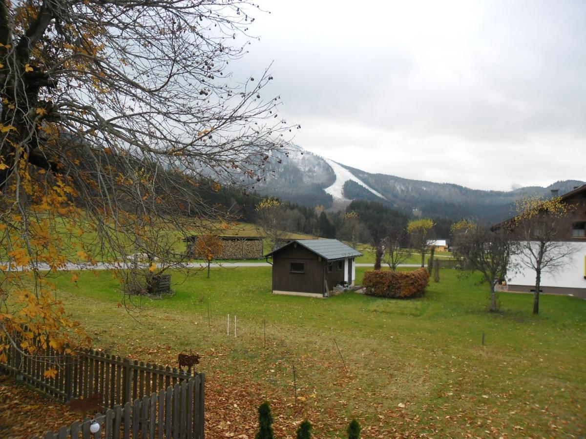 Ferienwohnung Oetscherwiese Lackenhof Bagian luar foto